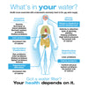 Filtered Water System Benefits