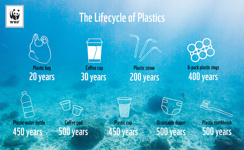 Stop Using Plastic Water Bottles!